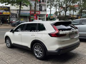Xe Honda CRV L 2023
