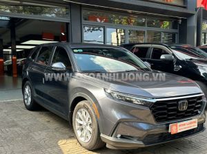 Xe Honda CRV L 2023