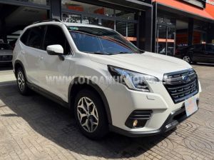 Xe Subaru Forester 2.0i-L 2023