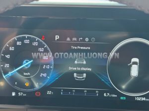 Xe Kia Carnival Signature 2.2D 2022