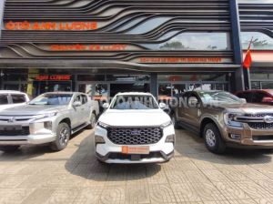 Xe Ford Territory Trend 1.5 AT 2025