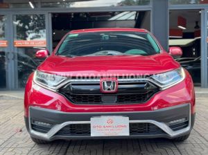 Xe Honda CRV L 2020